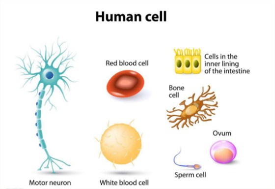 安創(chuàng)安必潔消毒耦合劑
